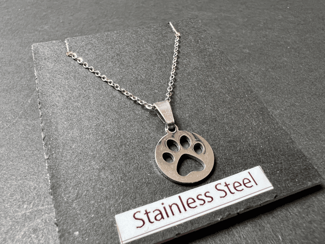 ⭐️ Tuesday’s Deal ⭐️ Paw Print Necklace | Stainless Steel